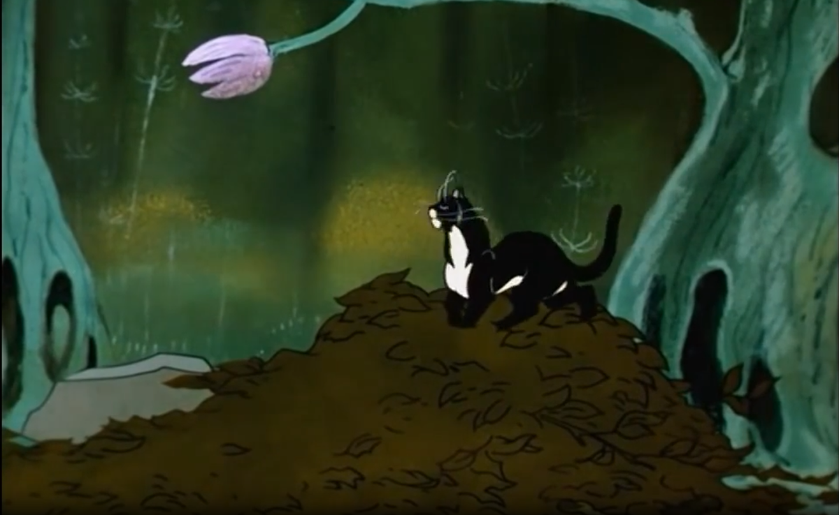 Кот делает свои дела