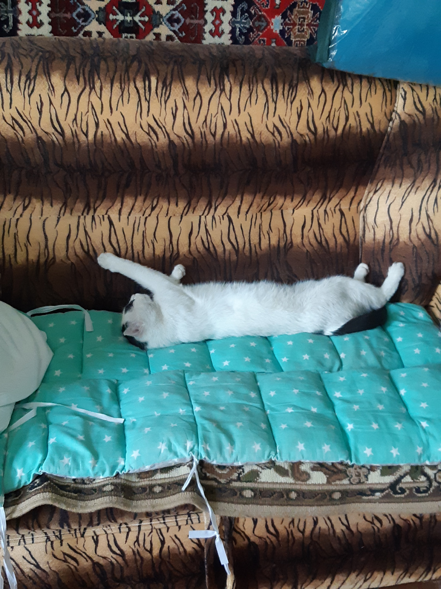 Растягивает  мышцы предплечья здоровой лапы.