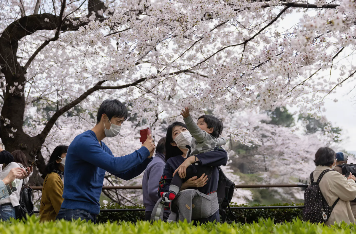 Если ты в Японии завел ребенка, ты почитай что БОГАЧ