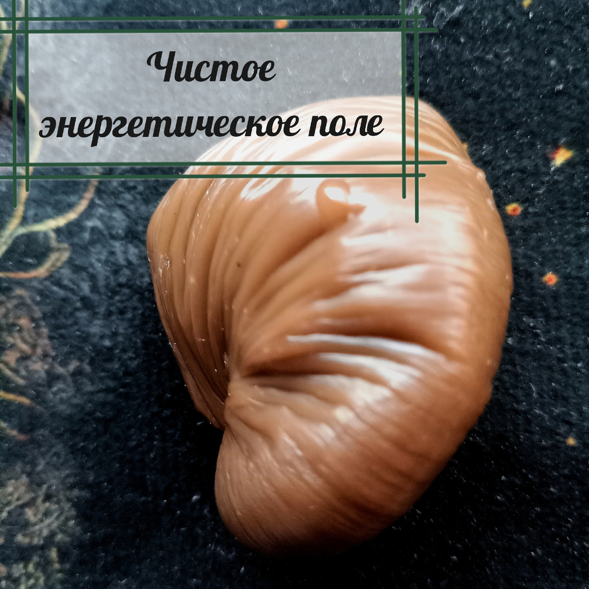 Фото из личного архива