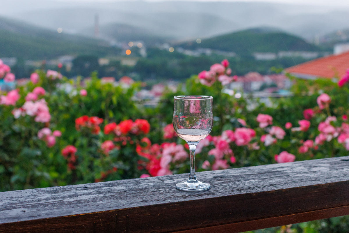Вид из нашего домика в поселке Сукко, Краснодарский край. Фото: Михаил Васильев