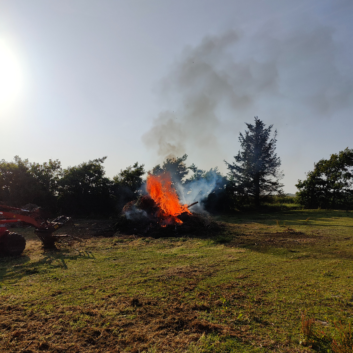 Гори гори ясно..