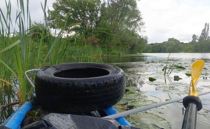    Фото: Курский край, Роман Кириллов, ВК.