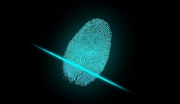    В Госдуме предложили внедрить биометрический контроль мигрантов во всех аэропортах России