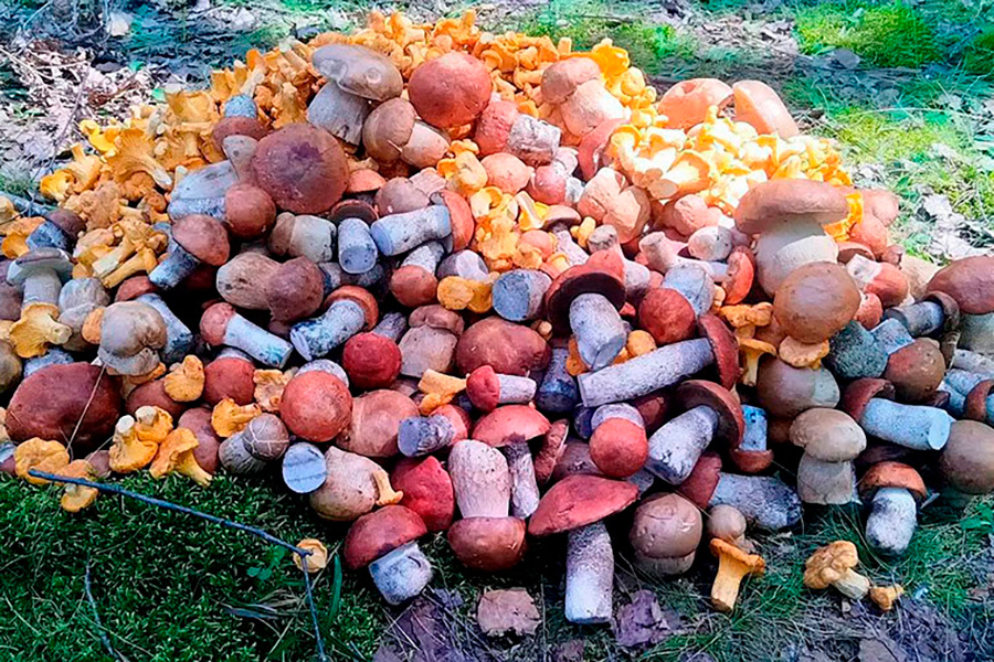    Фото: Минск Live / Telegram