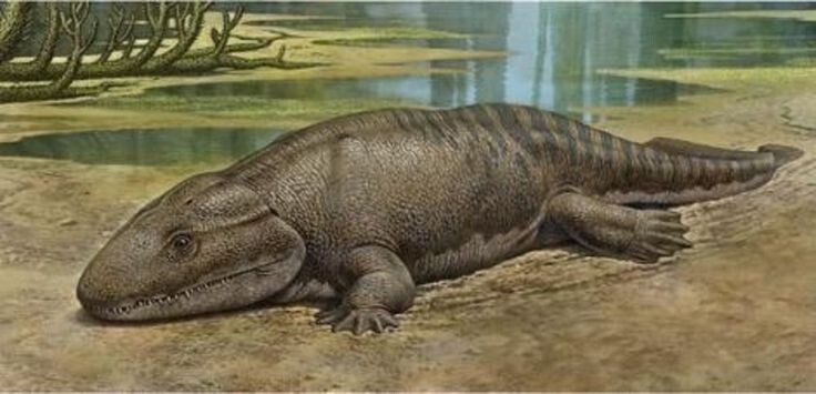 ихтиостега