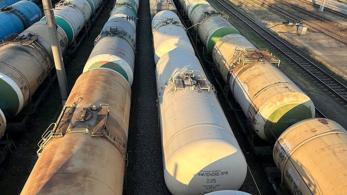    Фото: телеканал «Краснодар»