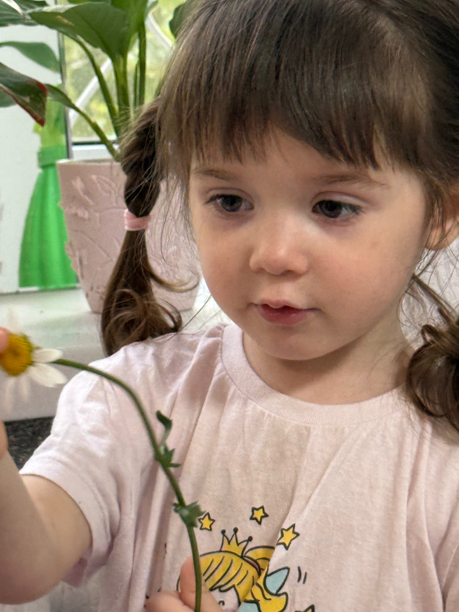 Погадаем на ромашке