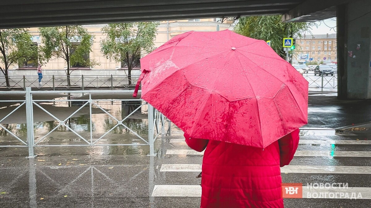     Источник: novostivolgograda.ru