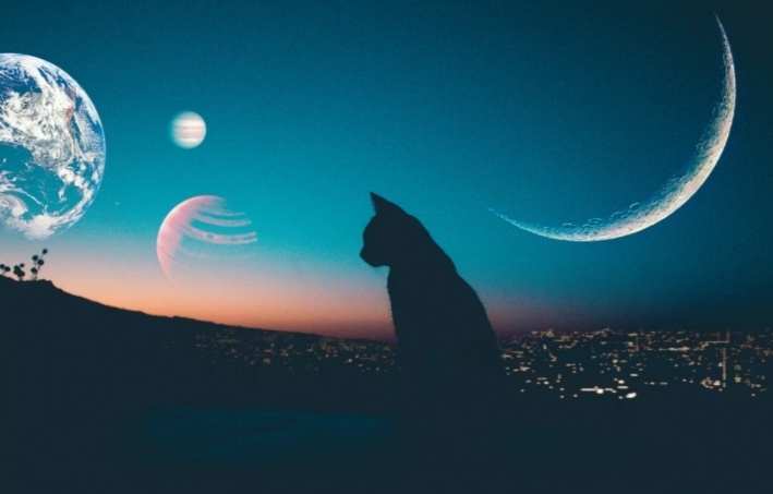 Между желанием и возможностью... 