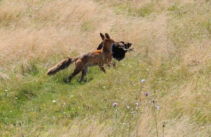    Фото: Александр ЗИНЧЕНКО