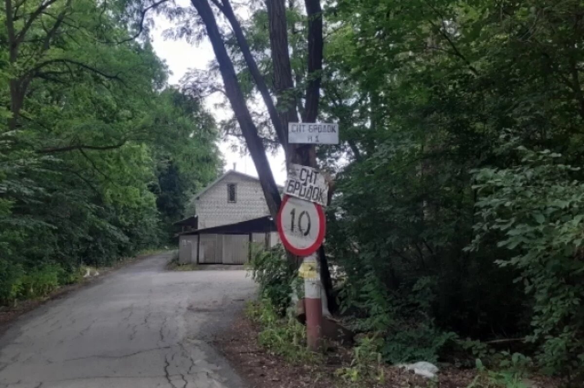    Кто в дачном посёлке хозяин?