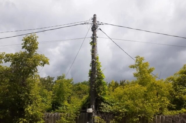    Такие сети в СНТ. Фото: АиФ/ Татьяна Черных