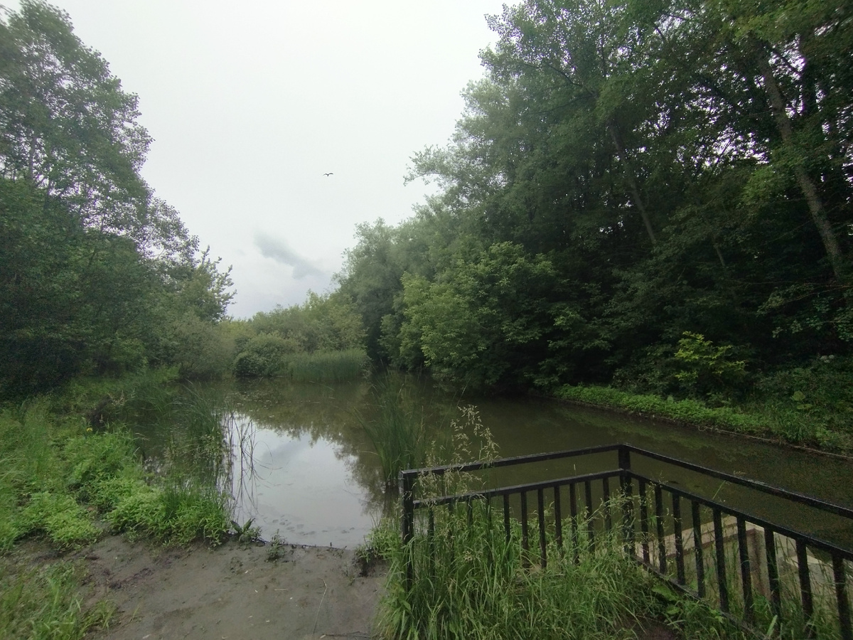 Заказник Алтуфьевский. Речушка Самотёка. ЗДЕСЬ и далее фото автора и(или) из личного архива автора, если не указано иначе.
