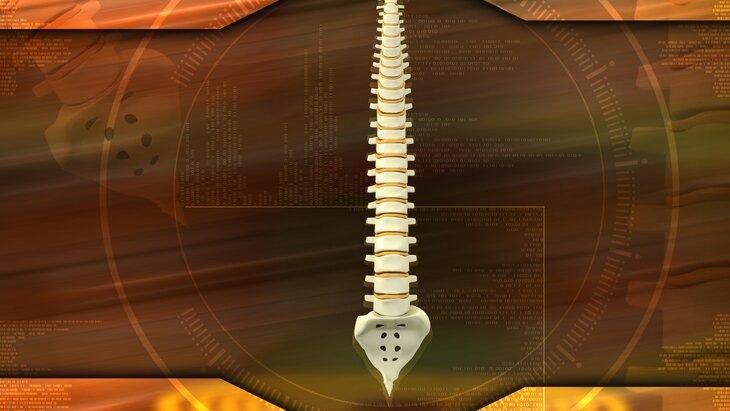    Фото: 123RF/krishnacreations