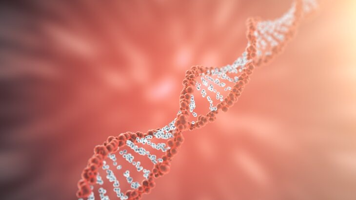    Фото: 123RF/rost9