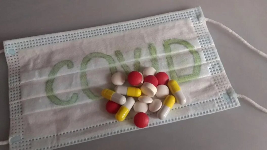    ФОТО: Царьград