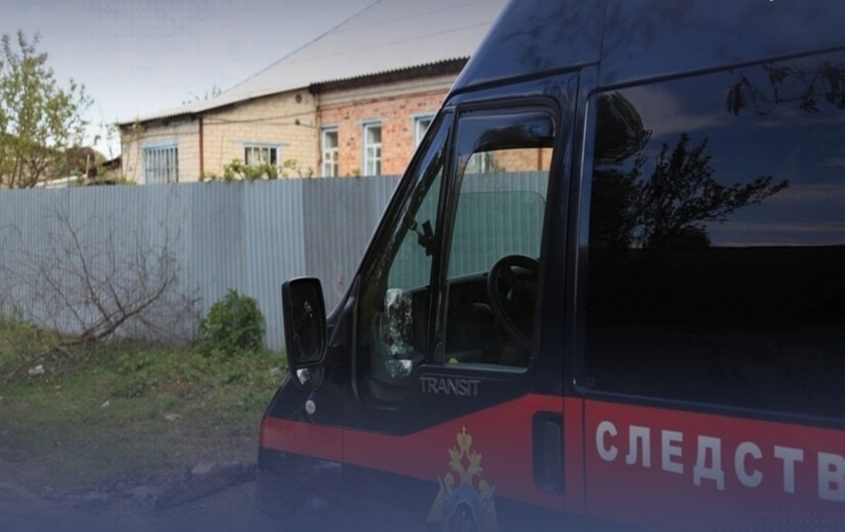    Бастрыкин возбудить уголовное дело после разборок в липецком селе СУ СК по Липецкой области