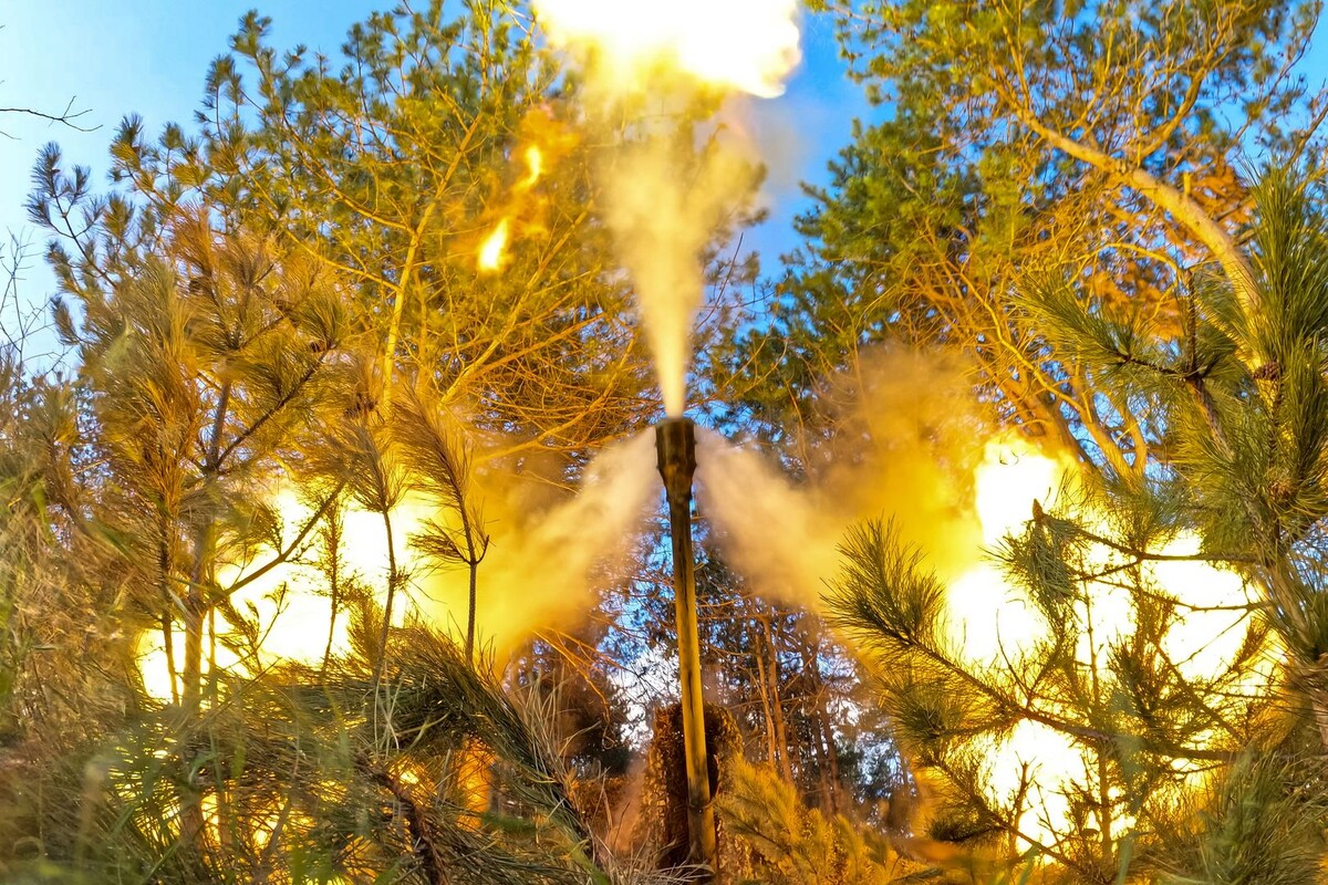     / Источник: © Алексей Коновалов/ТАСС