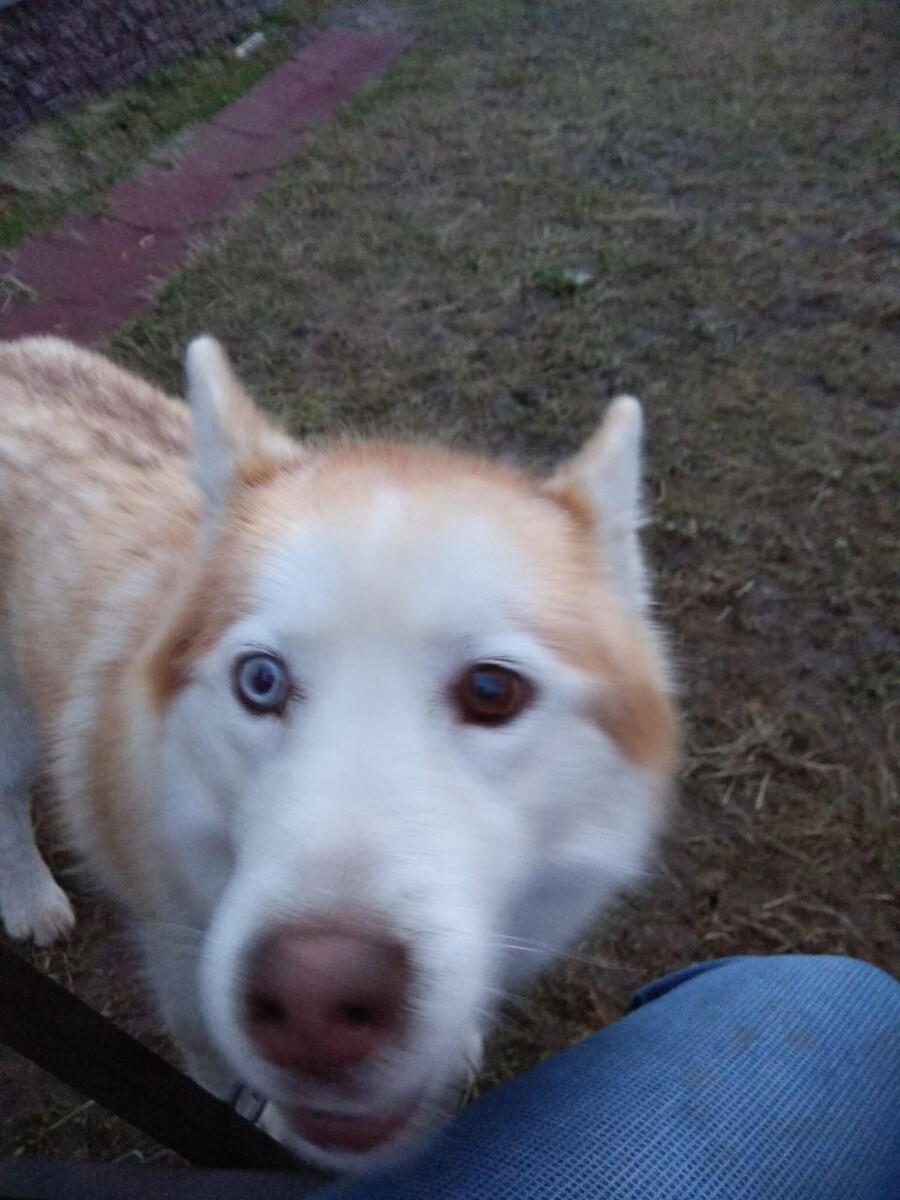 Примерно вот такая дурочка, как Хита)))