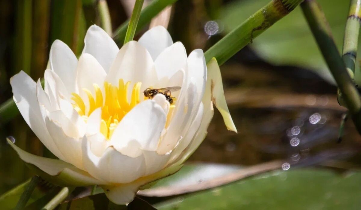     Источник: mos.ru Автор фото: Пресс-служба Мэра и Правительства Москвы