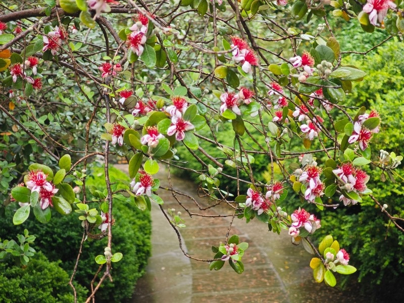    Фото: пресс-служба Сочинского национального парка
