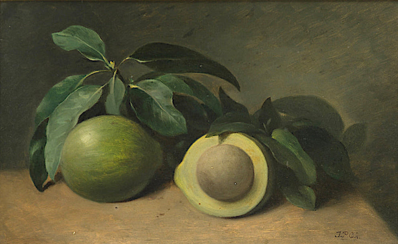 Жан Пьер-Шарль де Шабан Ла Палис. Авокадо. Холст, масло, размеры 26,4 х 43 см. В частной коллекции