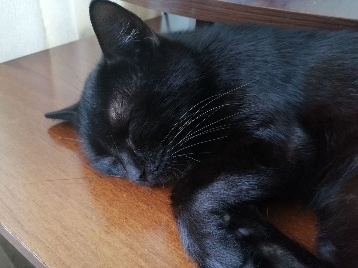 Помощница моя)