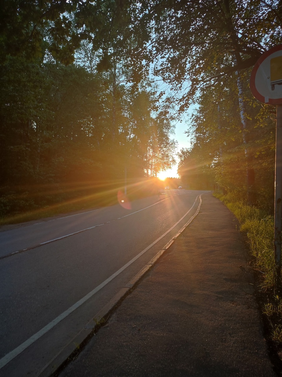 21.06.2025, Подмосковье, Север. 