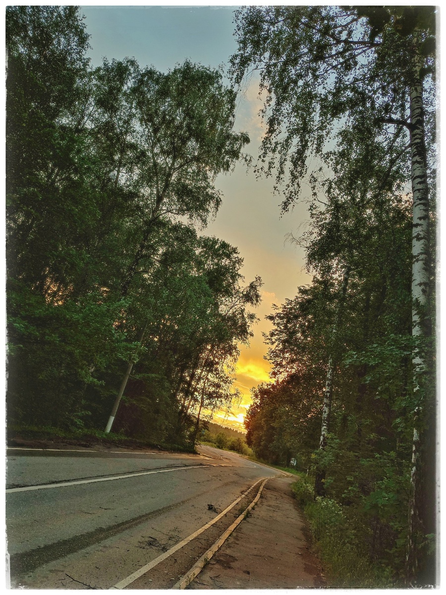 20.06.2024 Подомосковье.