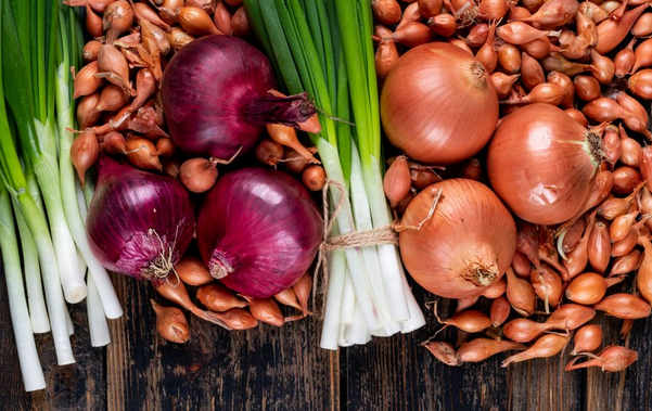 лук репчатый