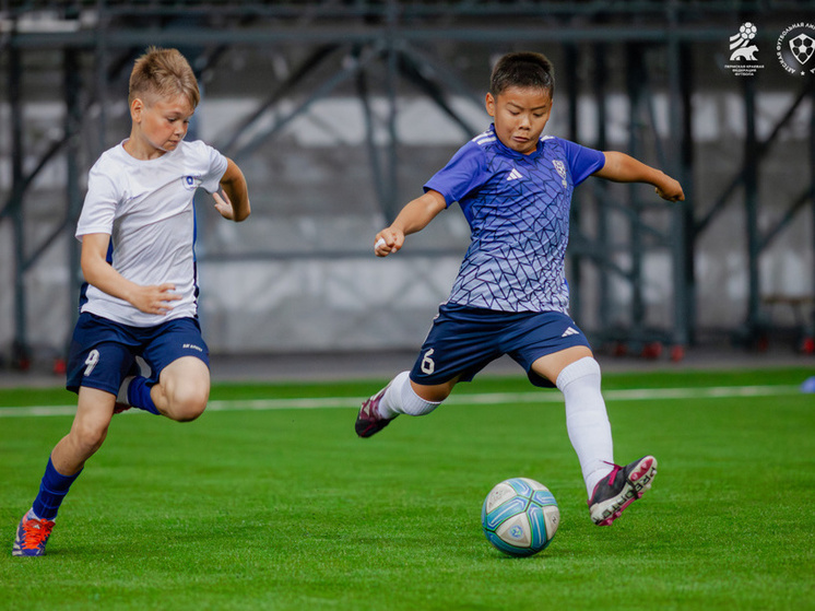     Фото: Пермская краевая федерация футбола, Детская футбольная лига будущих звезд