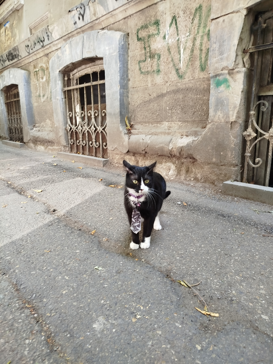 Ну красавчик же, правда, и при галстуке))))