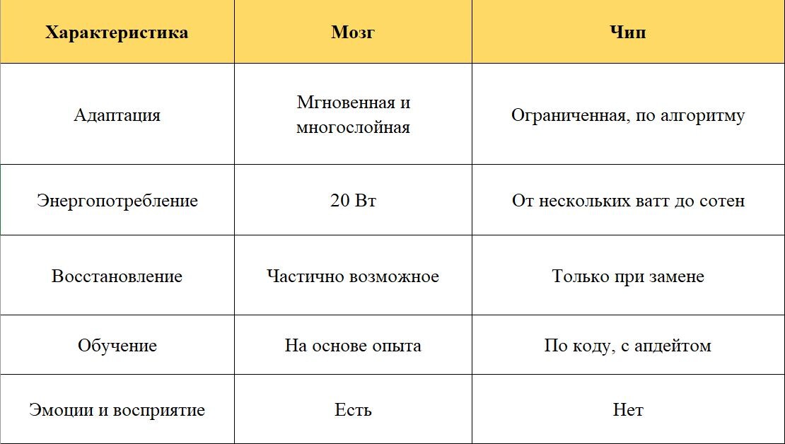 Мозг или чип? Кто победит в битве будущего