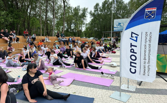    © комитет по спорту Ленобласти