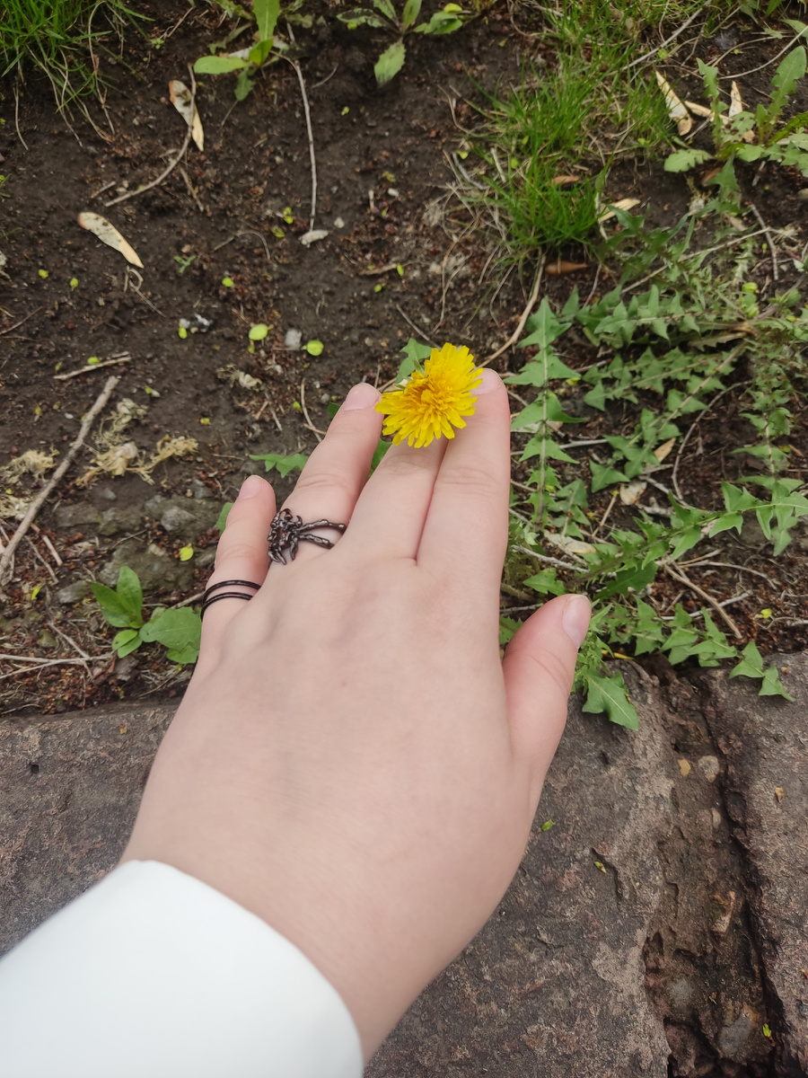 Одуванчик аутсайдер у тротуара, прям как я по жизни