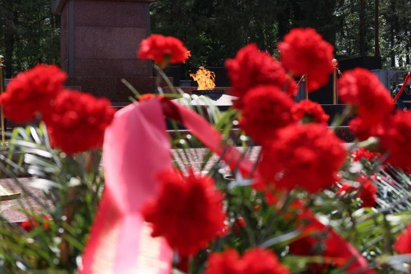    Telegram-канал Артема Жоги