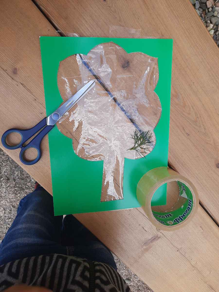 Делали прямо на скамейке