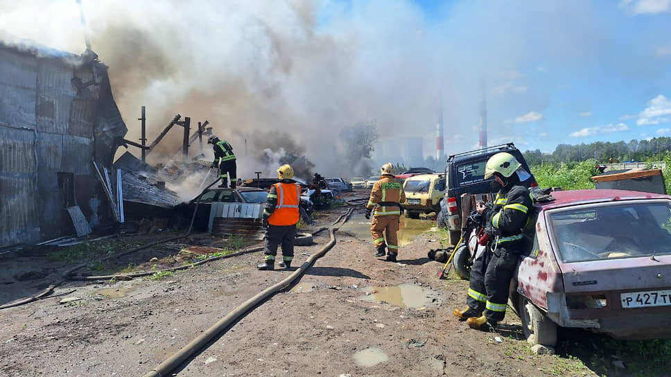 Фото: Telegram-канал главы Красногвардейского района Андрея Хорта