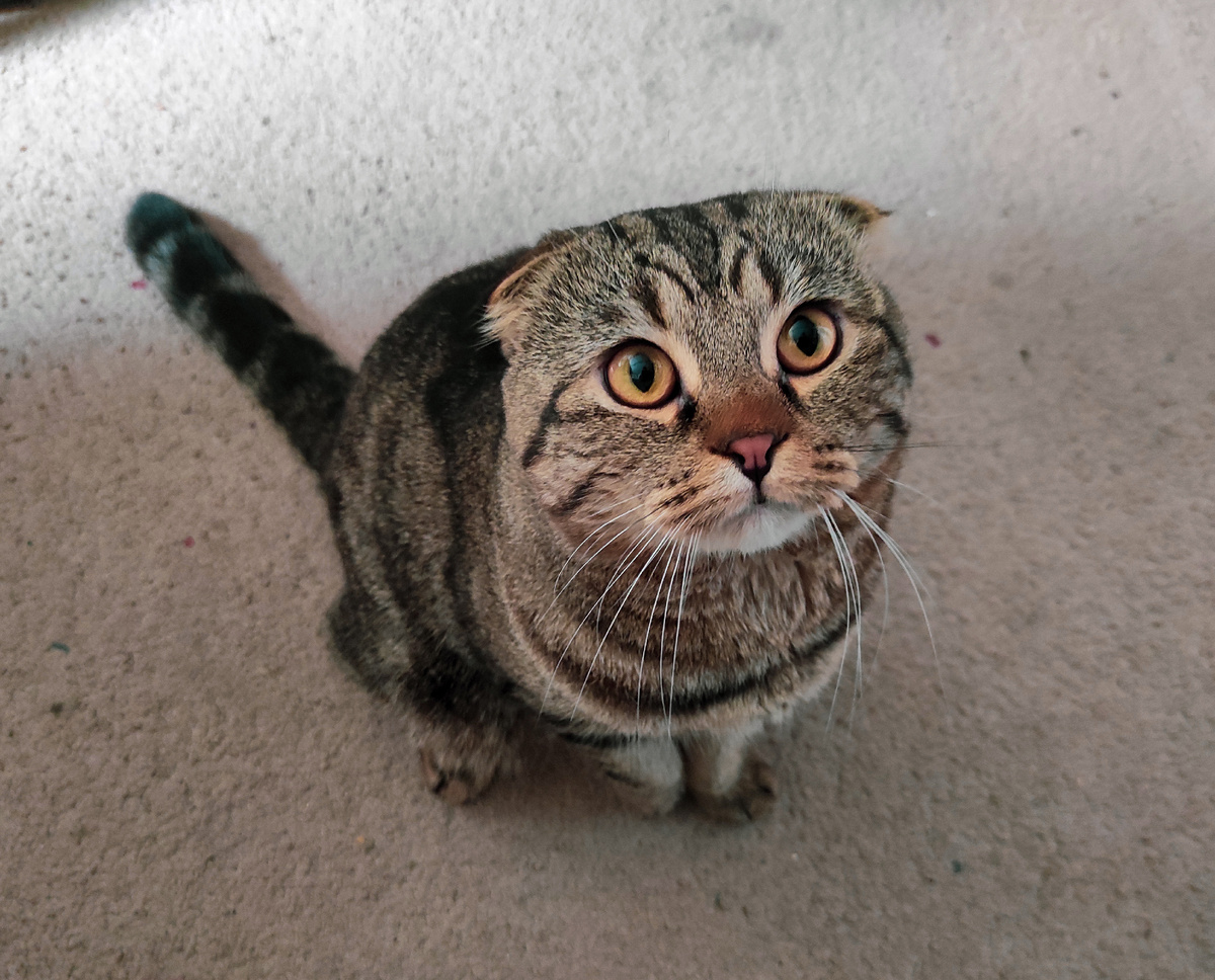 Только после вас!