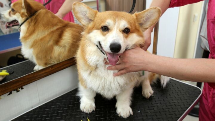    Фото: Игорь ФИЛОНОВ