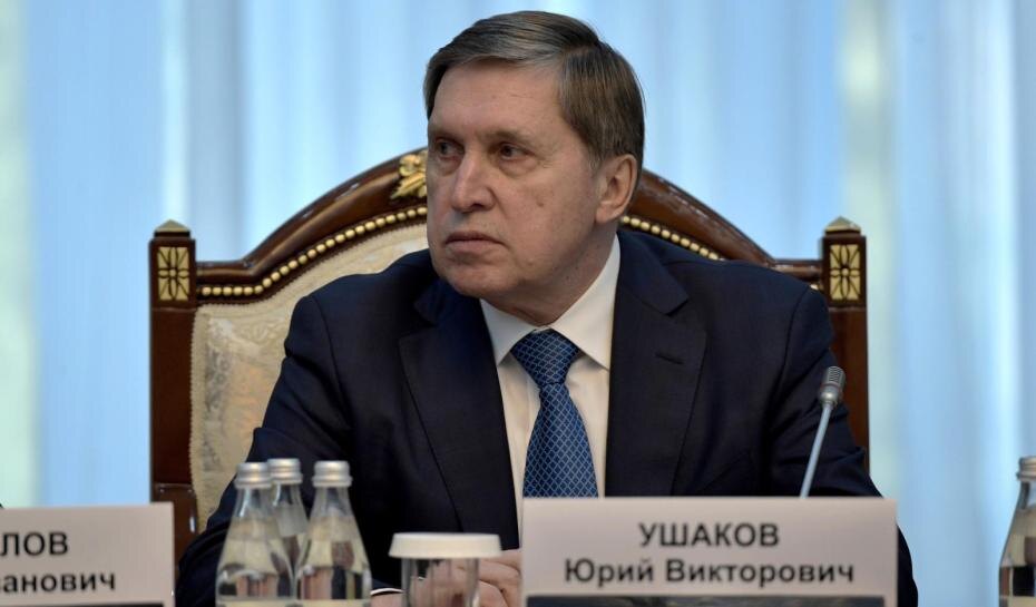    Kremlin Pool/Global Look Press