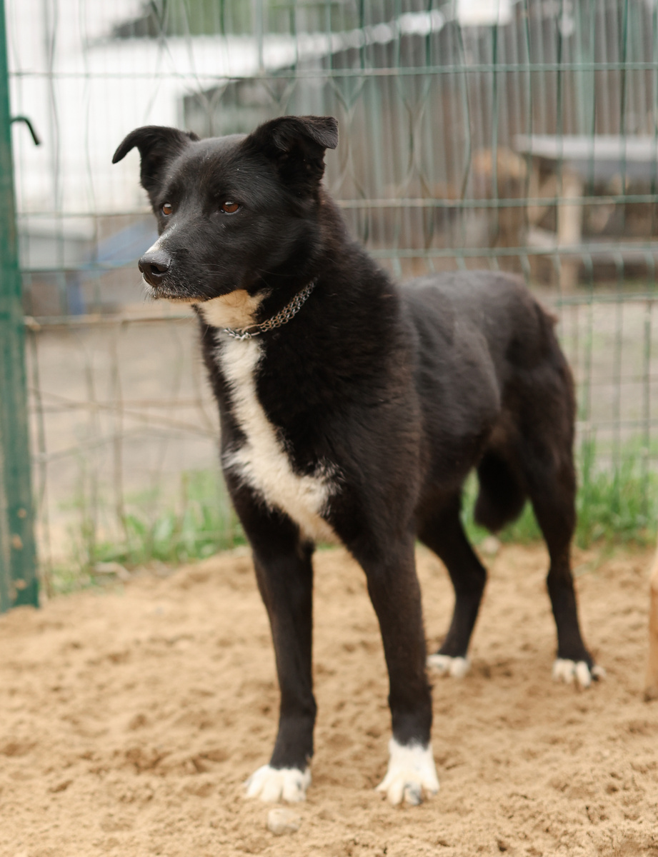 Так девчата, утренний обход!