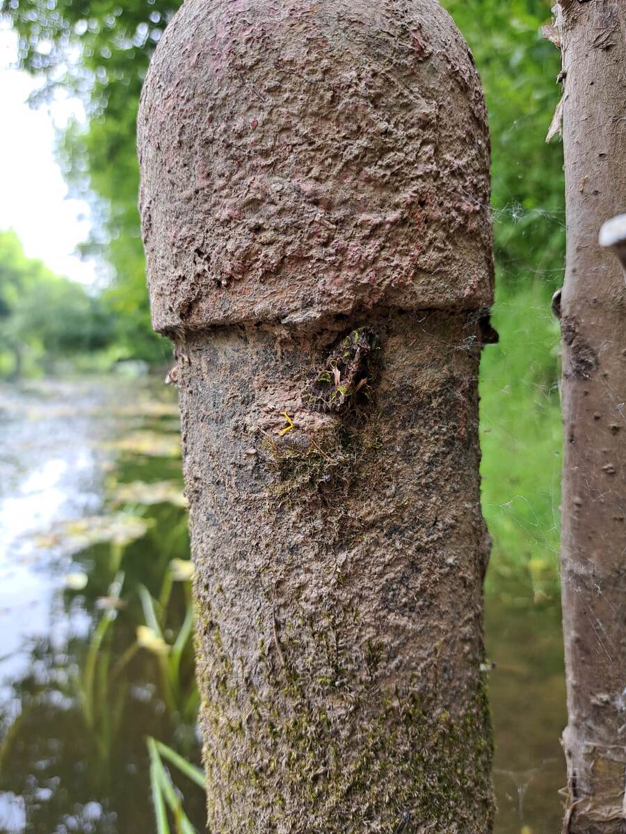 Попробуй разыщи её с такой маскировкой🙂