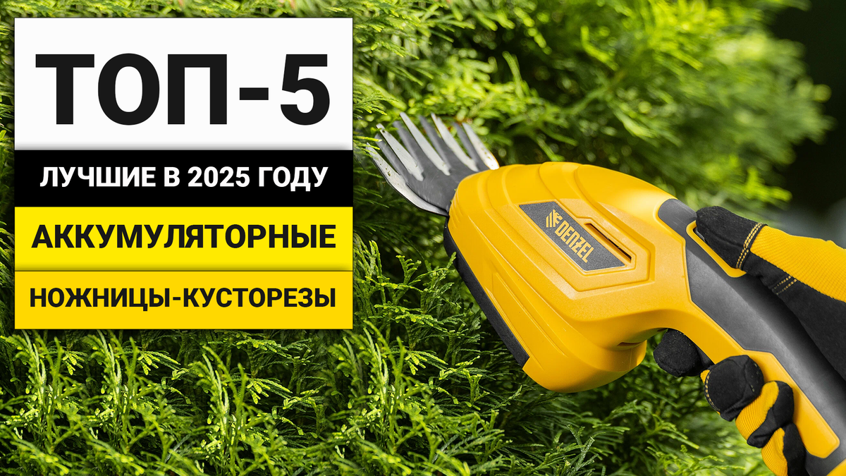 Какой аккумуляторный кусторез лучше