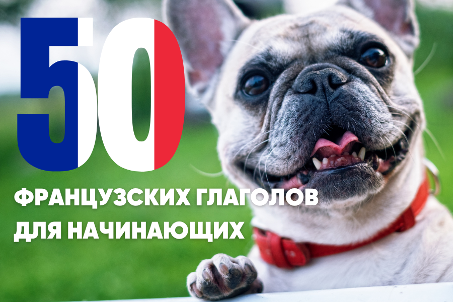 глаголы французского языка, которые необходимо знать на начальном уровне