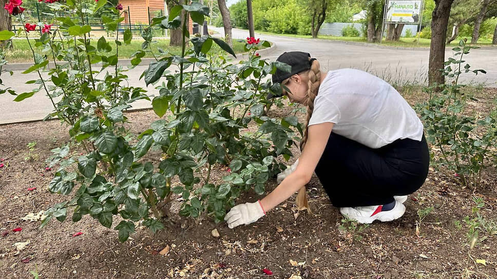 Фото: пресс-служба администрации города Ростова-на-Дону