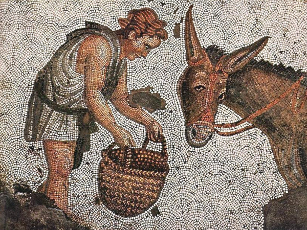 Сцена кормления осла. Фрагмент. 🙌🏻 Размер: 90х75 сантиметров. Объект датируется 5 веком н.э.; сейчас артефакт находится в © Стамбульском археологическом музее (Турция).Часть перистиля Большого дворца, Музей мозаик, Стамбул. 