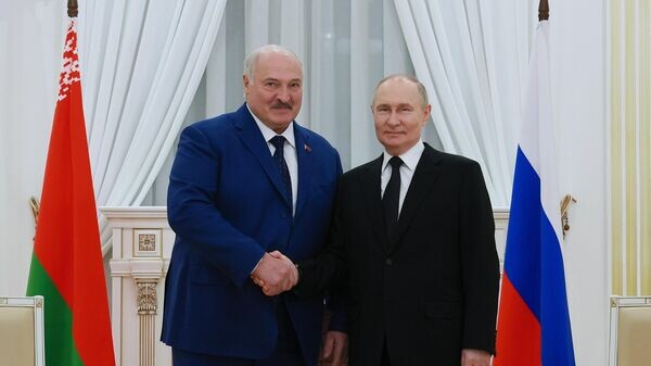    © Sputnik / Владимир Смирнов / POOL