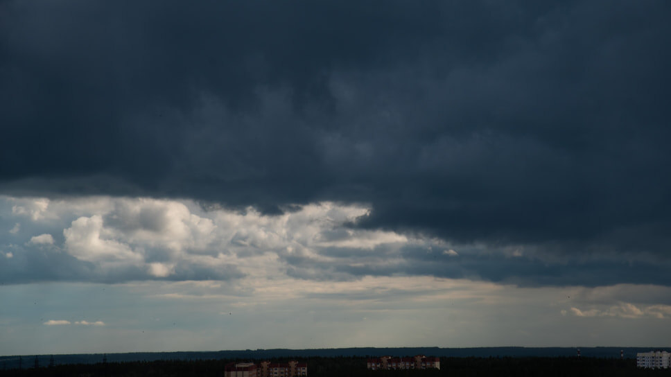 Фото: Олег Харсеев / Коммерсантъ